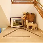 Alpin 酒店 索尔登